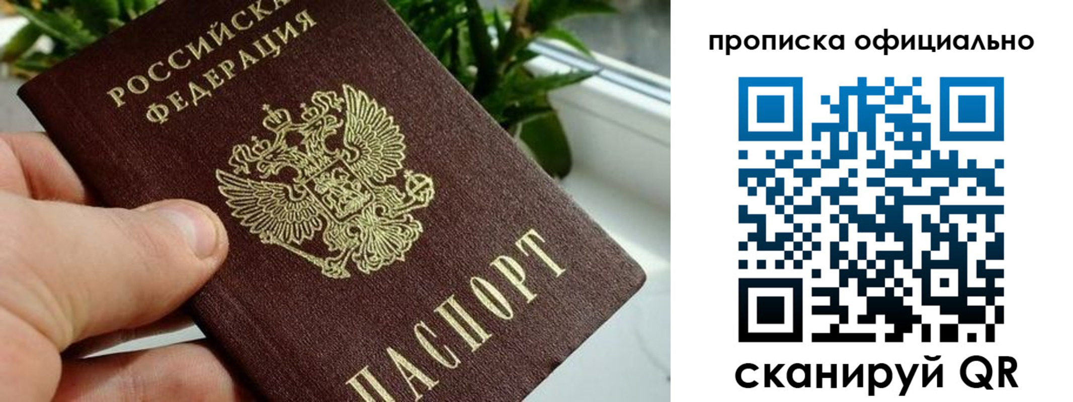 прописка поиск в Райчихинске
